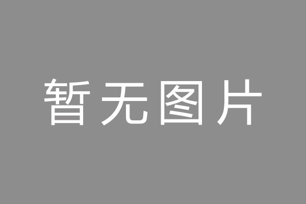 对方以合同加盖公章系“假”章为由逃避责任，该如何应对